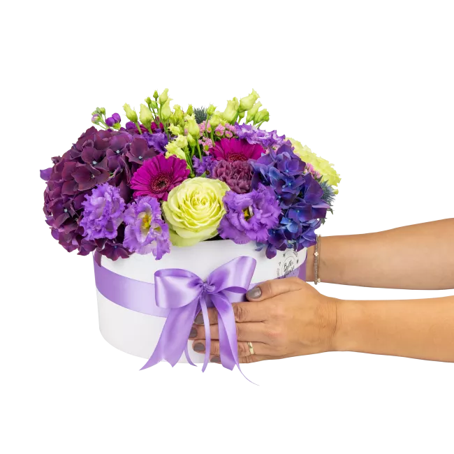 Box fialových květin